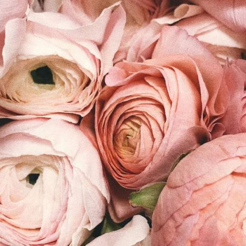 Digital Marketing untuk Florist dan Bisnis Kreatif Jogja
