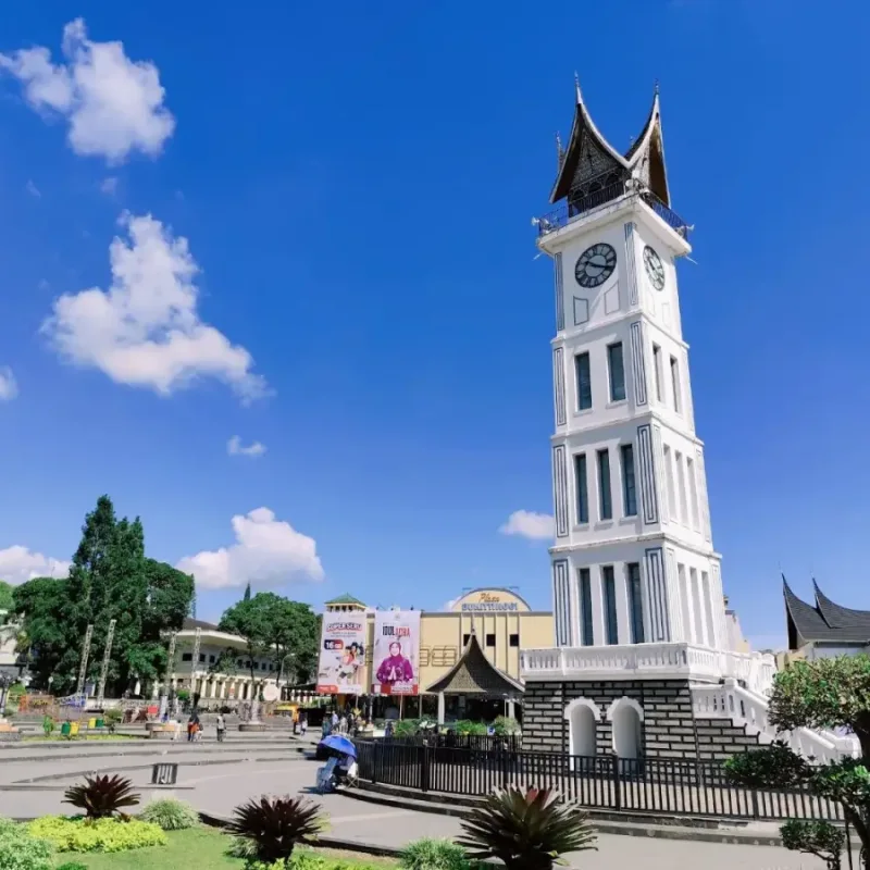 Jasa Website Medan: Solusi Digital untuk Bisnis di Pusat Ekonomi Sumatera