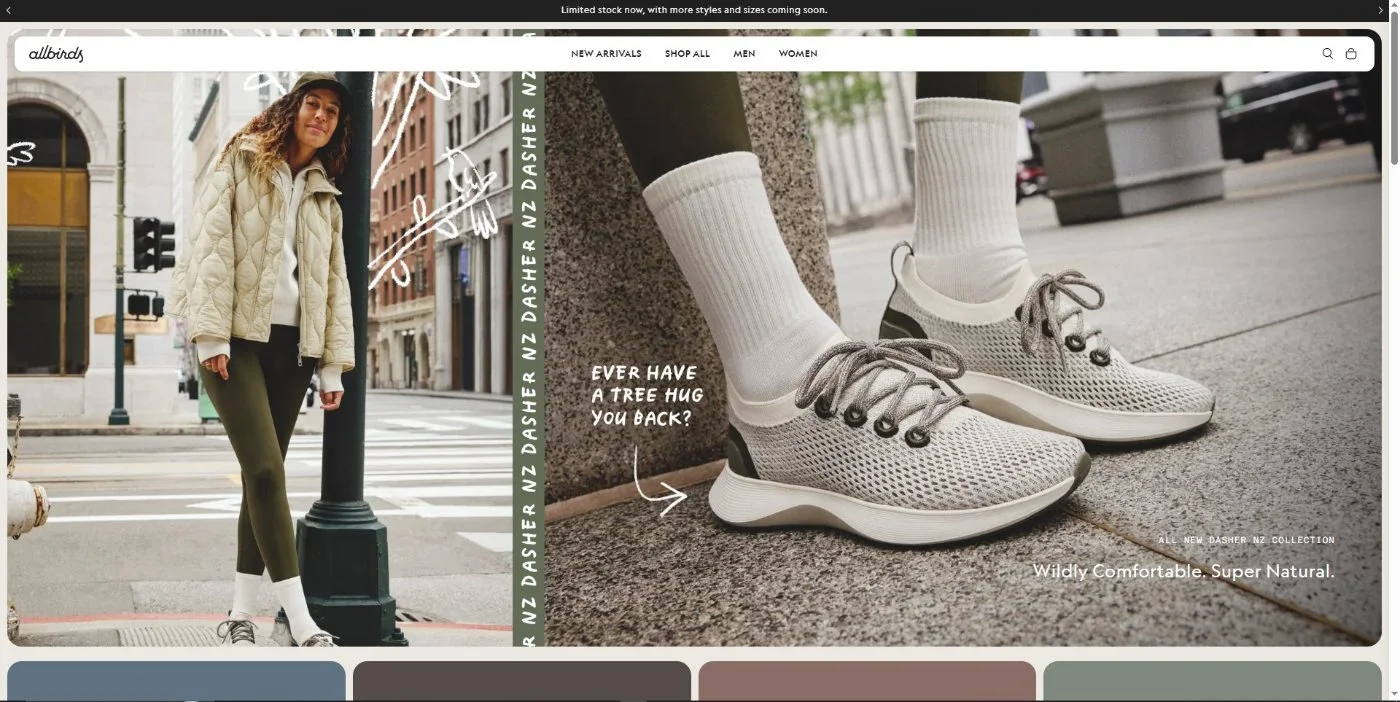 Allbirds: Sepatu Startup yang Tolak Amazon dan Raup $100 Juta