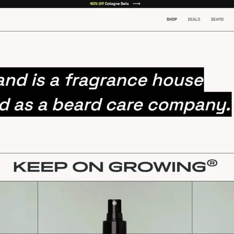 Beardbrand: Dari Blog $30 Jadi $100.000 per Bulan Tanpa Marketplace